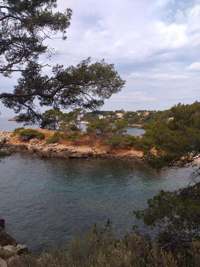Joli Studio Res Au Calme En Rez De Jardin A Bandol. Bagian luar foto